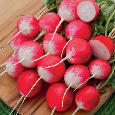 Radieschen 'Københavns Torve 2'
