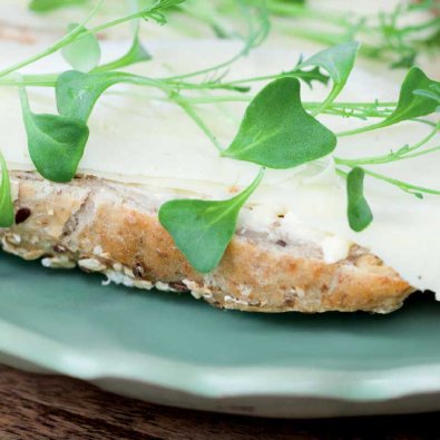 Micro Leaf Grünkohl 'Jagallo Nero'