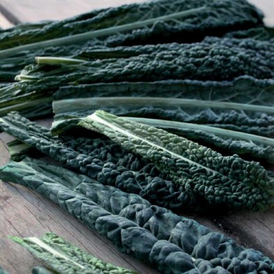 Schwarzkohl 'Black Magic'