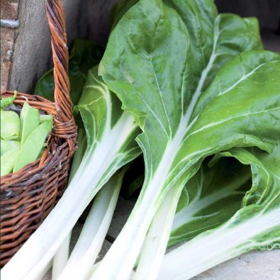 Chard 'Whity'