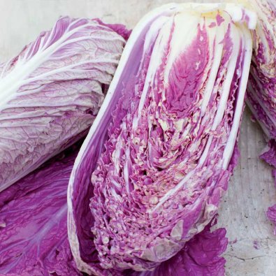 Salatkohl 'Scarvita F1'