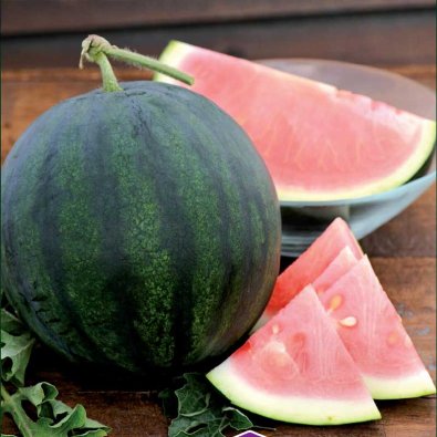Wassermelone 'Sugar Baby'