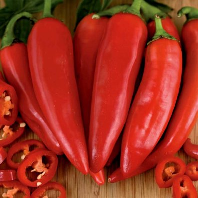 Chili 'Piment dEspelette'