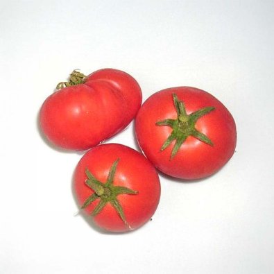 Tomate 'Harzfeuer'