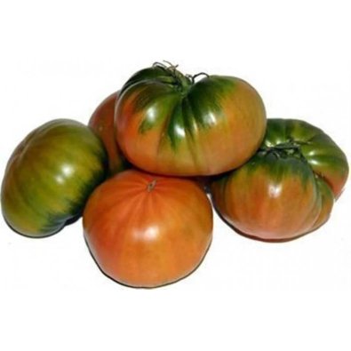 Tomate 'Muchamiel'