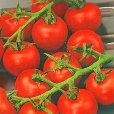 Tomate 'De Colgar'