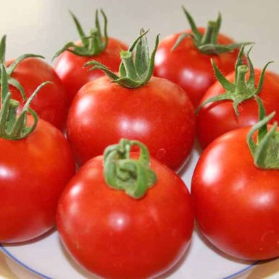 Tomate 'Hellfrucht'