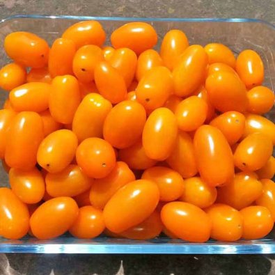 Tomate 'San Marzano mini orange'