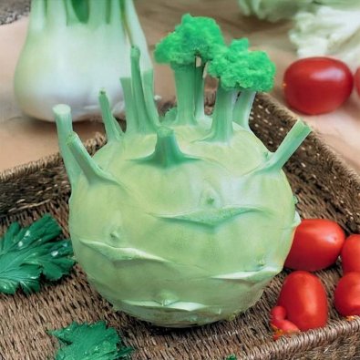 Kohlrabi 'Superschmelz'