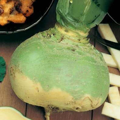 Steckrübe 'Gelbe Wilhelmsburger'