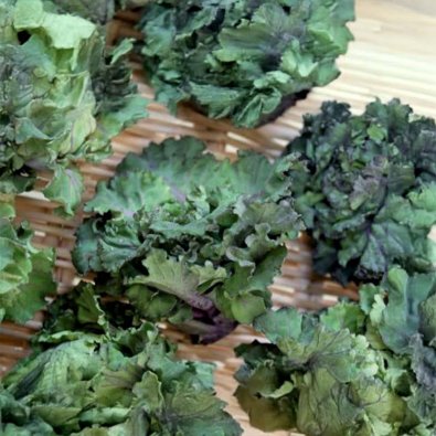 Rosenkohl 'Autumn Star' F1