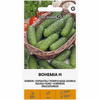 Gurke 'Bohemia' F1