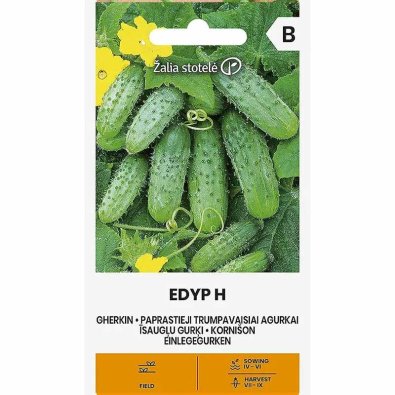Freilandgurke 'Edyp' F1