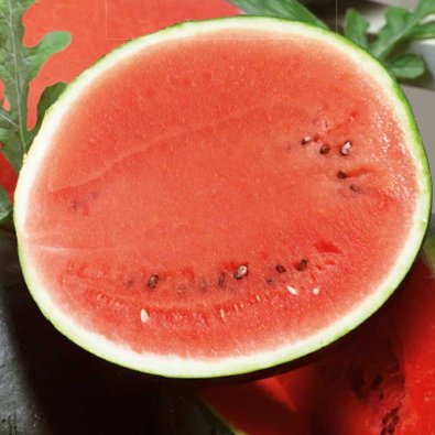 Wassermelone 'Sugar Baby'