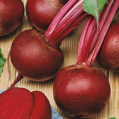 Rote Bete 'Rote kugel 2'