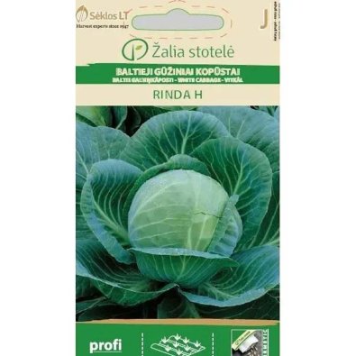Weißkohl 'Rinda' H