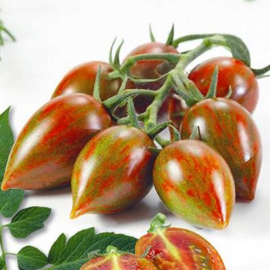 Tomate 'Melange' H