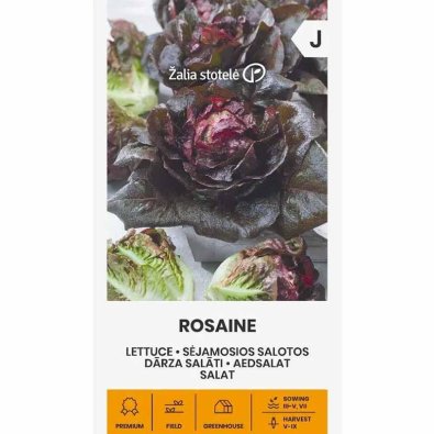 Salat 'Rosaine'