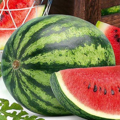 Wassermelone 'Megacrimson' F1