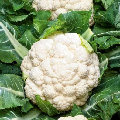 Blumenkohl 'Skywalker'