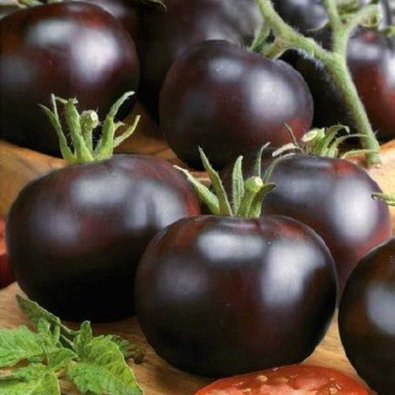 Tomate 'Blackball'