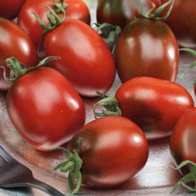 Tomate 'Prune Noire'