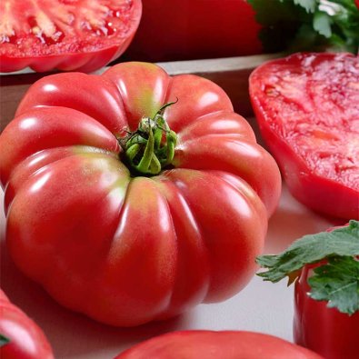 Tomate 'Rosa de barbastro'