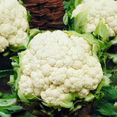 Blumenkohl 'Sunergy' H