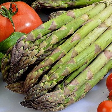 Spargel 'Mary Washington'