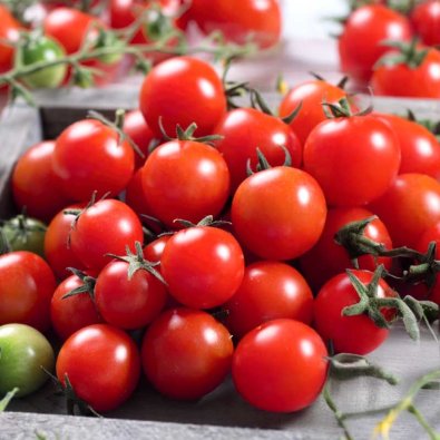 Cherrytomate 'Charmant' H