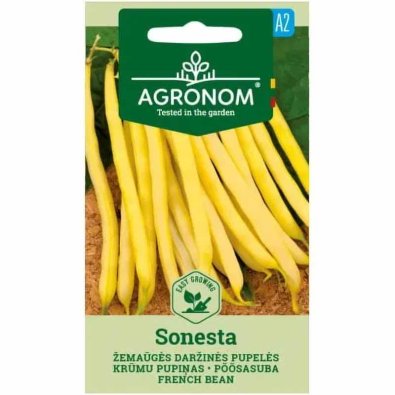 Wachsbohne 'Sonesta'