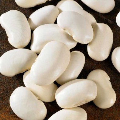 Feuerbohne 'Piekny jas'