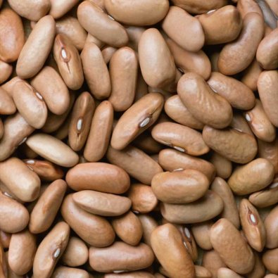 Buschbohne 'Nugetka'