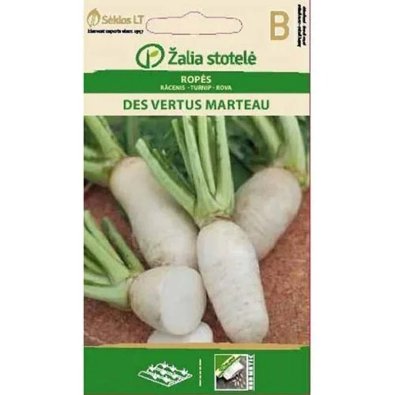 Rübe 'Des Vertus Marteau'