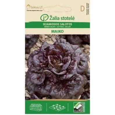 Pflücksalat 'Maiko'