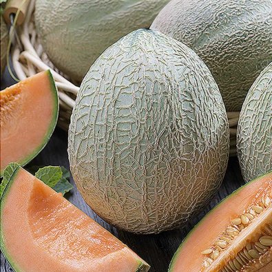 Melone 'Emir' F1