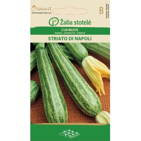 Zucchini 'Striato di napoli'