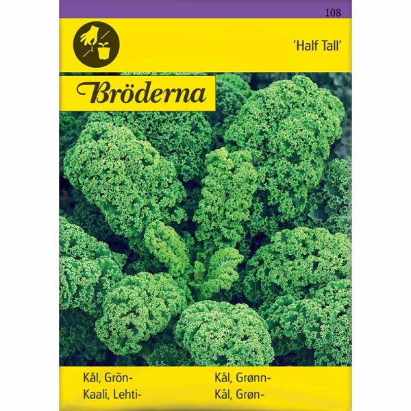 Grünkohl 'Half Tall'