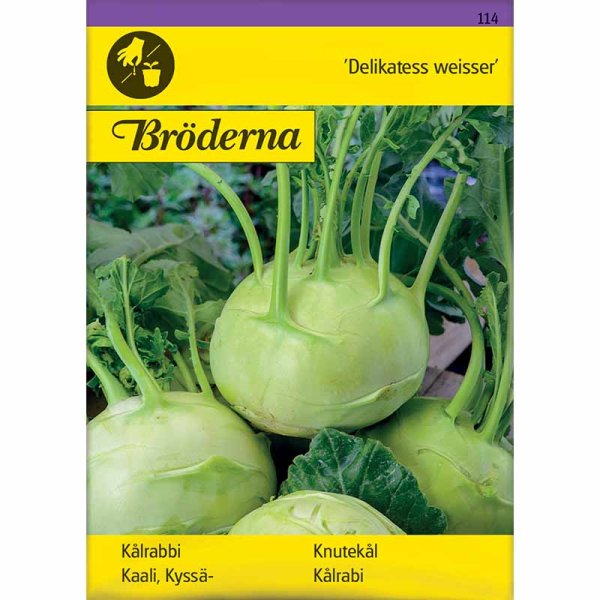 Kohlrabi 'Delikatess weisser'