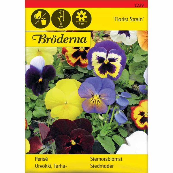 Stiefmütterchen 'Florist Strain' Mischung