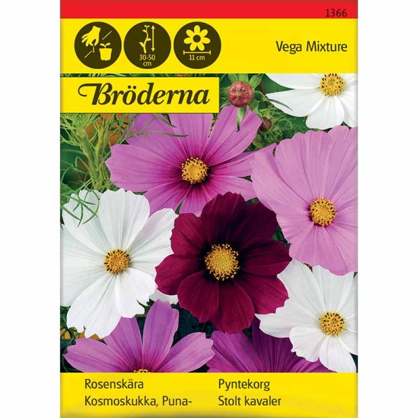 Kosmee 'Vega Mischung'