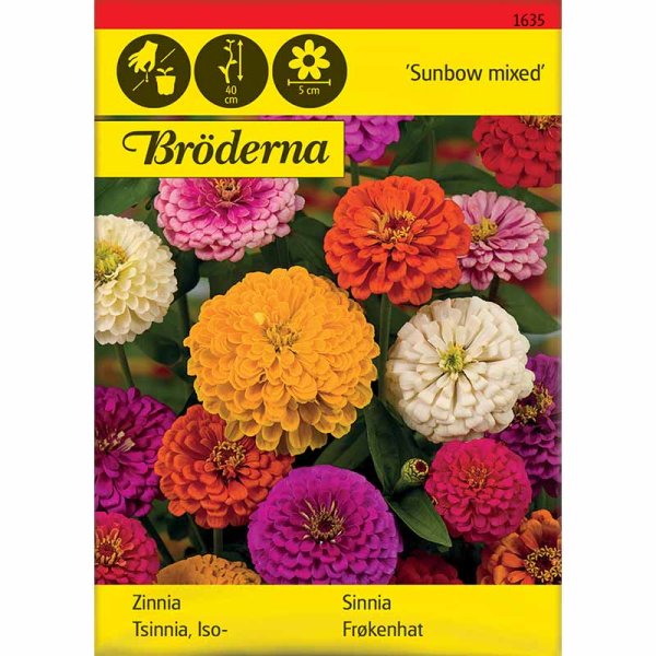 Zinnie 'Sunbow mix'