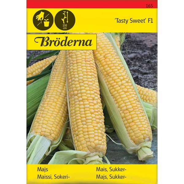 Zuckermais 'Tasty Sweet'F1