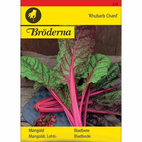 Mangold 'Rhubarb Chard'