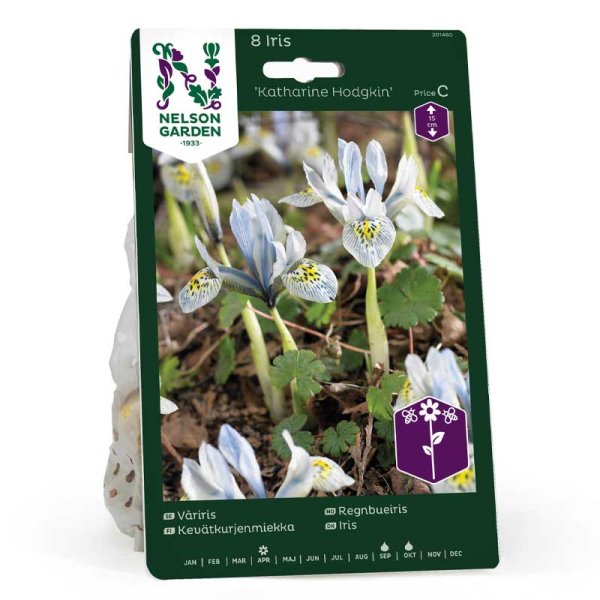 Frühlingsiris 'Katharine Hodgkin'