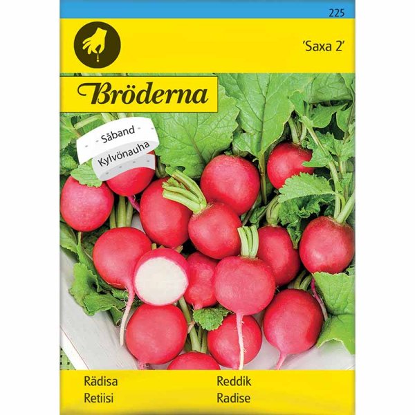 Radieschen 'Saxa 2' Såband