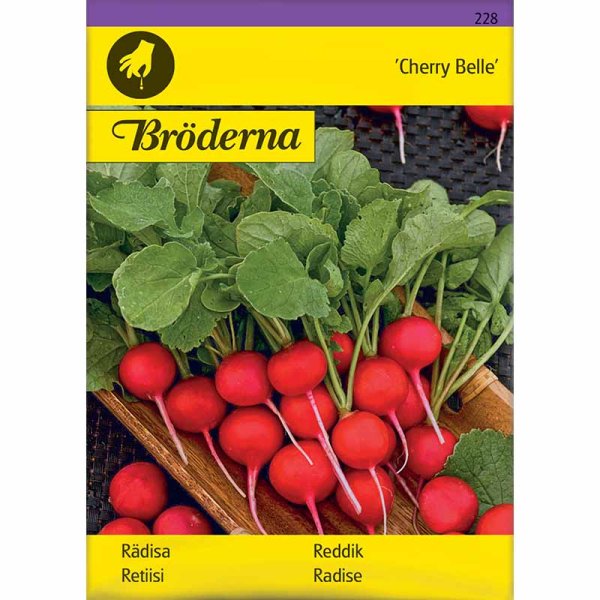 Radieschen 'Cherry Belle'