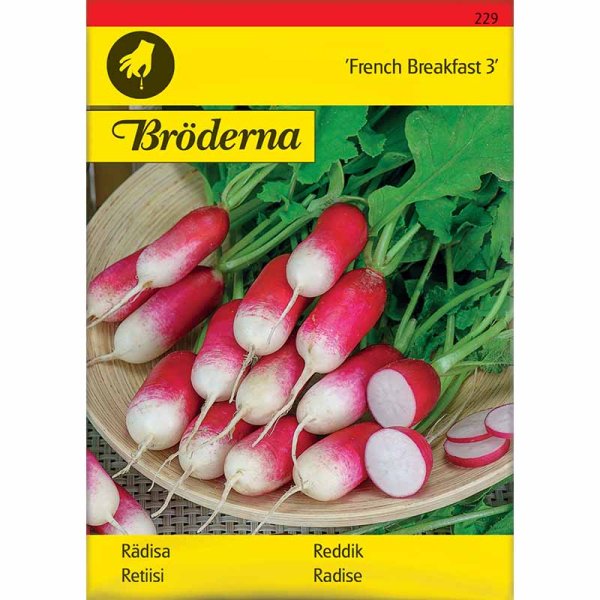 Radieschen 'French Breakfast 3'