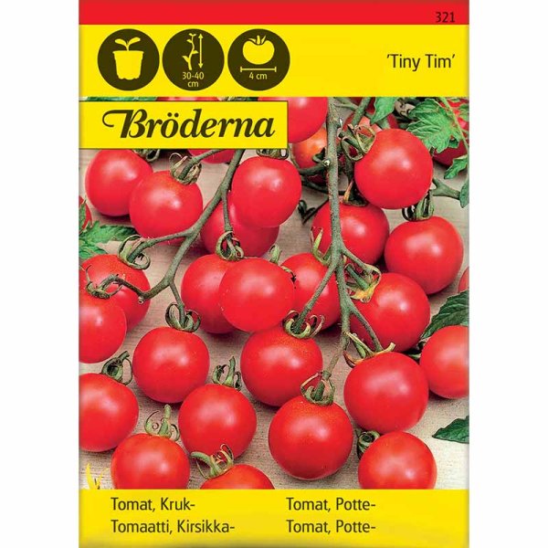 Cherrytomate 'Tiny Tim'