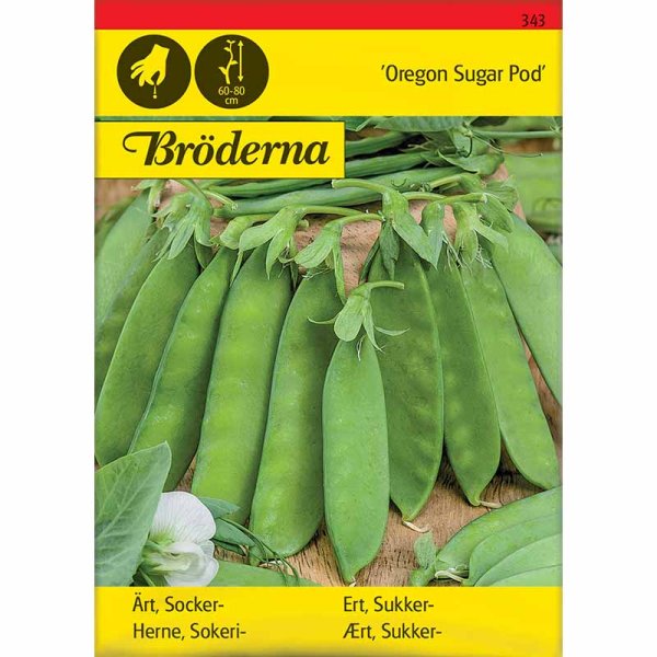 Sugar Snap Pea 'Oregon Sugar Pod'